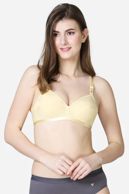 Single layered pointed seamed cup medium coverage bra
